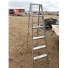 Image 3 : 6ft aluminum painters ladder