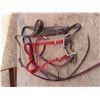 Image 1 : halters , rope , bit , reins