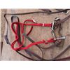 Image 3 : halters , rope , bit , reins