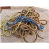Image 3 : assorted rope , lunging  ropes , lead ropes