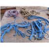 Image 1 : two blue braided halters , reins , and 2 lunging ropes leads