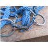 Image 2 : two blue braided halters , reins , and 2 lunging ropes leads