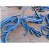 Image 4 : two blue braided halters , reins , and 2 lunging ropes leads