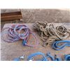 Image 5 : two blue braided halters , reins , and 2 lunging ropes leads