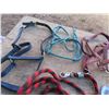 Image 2 : reins , halters , hoof picks , brushes