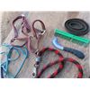 Image 3 : reins , halters , hoof picks , brushes