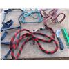Image 4 : reins , halters , hoof picks , brushes