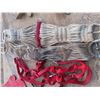 Image 1 : bits , halters , light harness m girth straps , belly bands