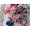 Image 3 : bits , halters , light harness m girth straps , belly bands
