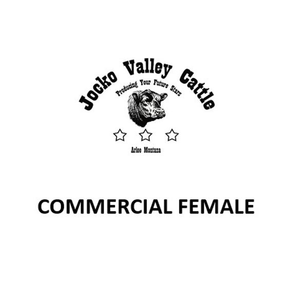 JVC COMMERCIAL FEMALE