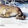 Image 2 : Winter Siesta by MacIntosh, Rob