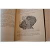 Image 4 : 1871 Antomy book