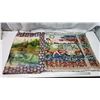 Image 1 : 2 Vintage tapestries