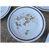 Image 2 : set of 14 plates - Four Seasons "Autumn Boquet"