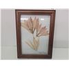 Image 2 : Estate Lot of 3 Pretty Pressed Flowers (framed)