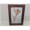 Image 3 : Estate Lot of 3 Pretty Pressed Flowers (framed)