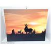 Image 1 : Father and Son Buck in the Sunset Picture