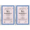 Image 1 : Euro Disneyland S.C.A., 1989, Issued Stock Certificate Pair