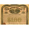 Image 1 : South Mountain Railroad Co., 1873, I/U Bond