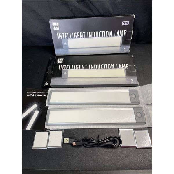 Lot of 2 Boxes of Intelligent LED Motion Sensor Bar Lights - Rechargeable - 2 Per Box/4 Total - New!
