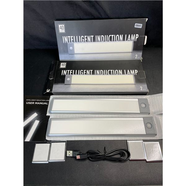 Lot of 2 Boxes of Intelligent LED Motion Sensor Bar Lights - Rechargeable - 2 Per Box/4 Total - New!
