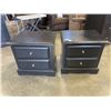 Image 1 : PAIR OF BLACK 2 DRAWER NIGHTSTANDS