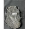 Image 2 : 6.5" Orthoceras Fossil Specimen. MSRP $680.00