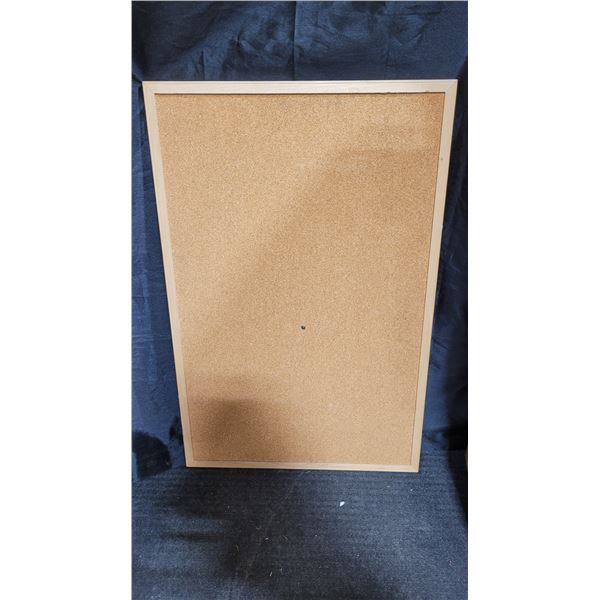 Large Cork Board