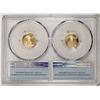 Image 2 : Designer Set of 2021-W Ty. 1/2 $5 Proof American Gold Eagle Coins PCGS PR69/70DCAM FS