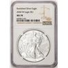 Image 1 : 2020-W $1 Burnished American Silver Eagle Coin NGC MS70