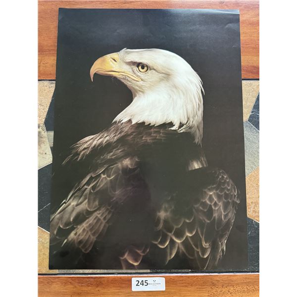 Vintage Wildlife Poster #2 Bald Eagle (Dark) 1978 by Stewart Cassidy
