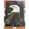 Image 1 : Vintage Wildlife Poster #2 Bald Eagle (Dark) 1978 by Stewart Cassidy