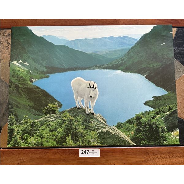 Vintage Wildlife Poster #6 Mountain Goat & Lake 1978 by Stewart Cassidy