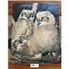 Image 1 : Owls Poster