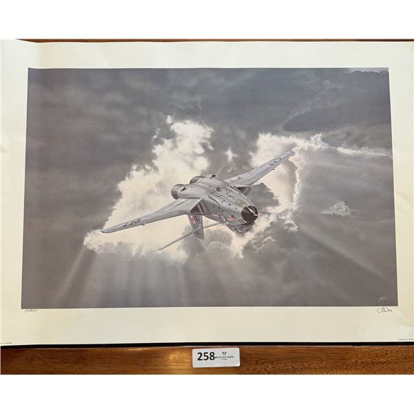 NIGHT HAWK Limited Edition Print by Thomas Wall  17/295