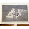 Image 1 : NIGHT HAWK Limited Edition Print by Thomas Wall  17/295