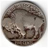 Image 2 : 1917 Buffalo Nickel 2 Feather