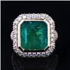 Image 1 : 9.15 ctw Emerald and 4.33 ctw Diamond 18K Yellow Gold Ring