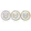 Image 8 : Colorized Silver Eagles [20]