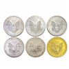 Image 2 : Colorized Silver Eagles [6]