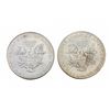 Image 8 : Colorized Silver Eagles [6]