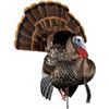 Image 1 : AVIAN-X HDR STRUTTER TKY DECOY