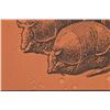 Image 5 : Jim Franklin "Acrylic Armadillo" Poster