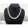 Image 1 : 14K White Gold Pearl Necklace 16"