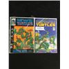 Image 1 : LOT OF TEENAGE MUTANT NINJA TURTLES COMICS (MARVEL,INDI)