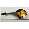 Image 7 : Nova Mandolin