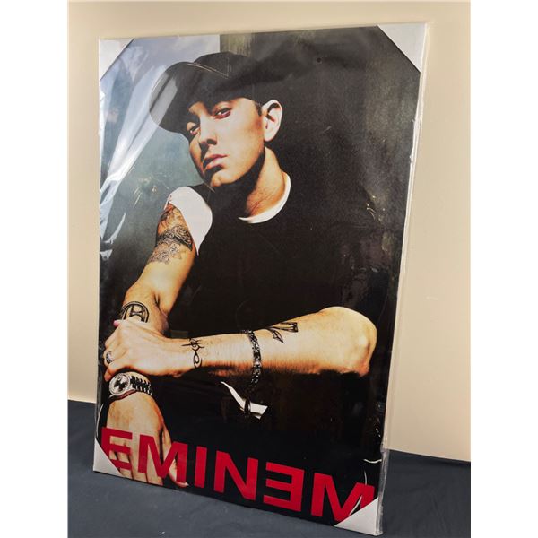 Eminem Canvas Print