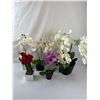 Image 1 : Assortment of Faux Flowers