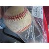 Image 3 : 6-Autographed Baseball Phil Rizzuto, Willie Mocove, Earnie Banks, Other - 6 X $