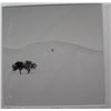 Image 2 : Ebru Sidar Don't Forget Us Winter Landscape